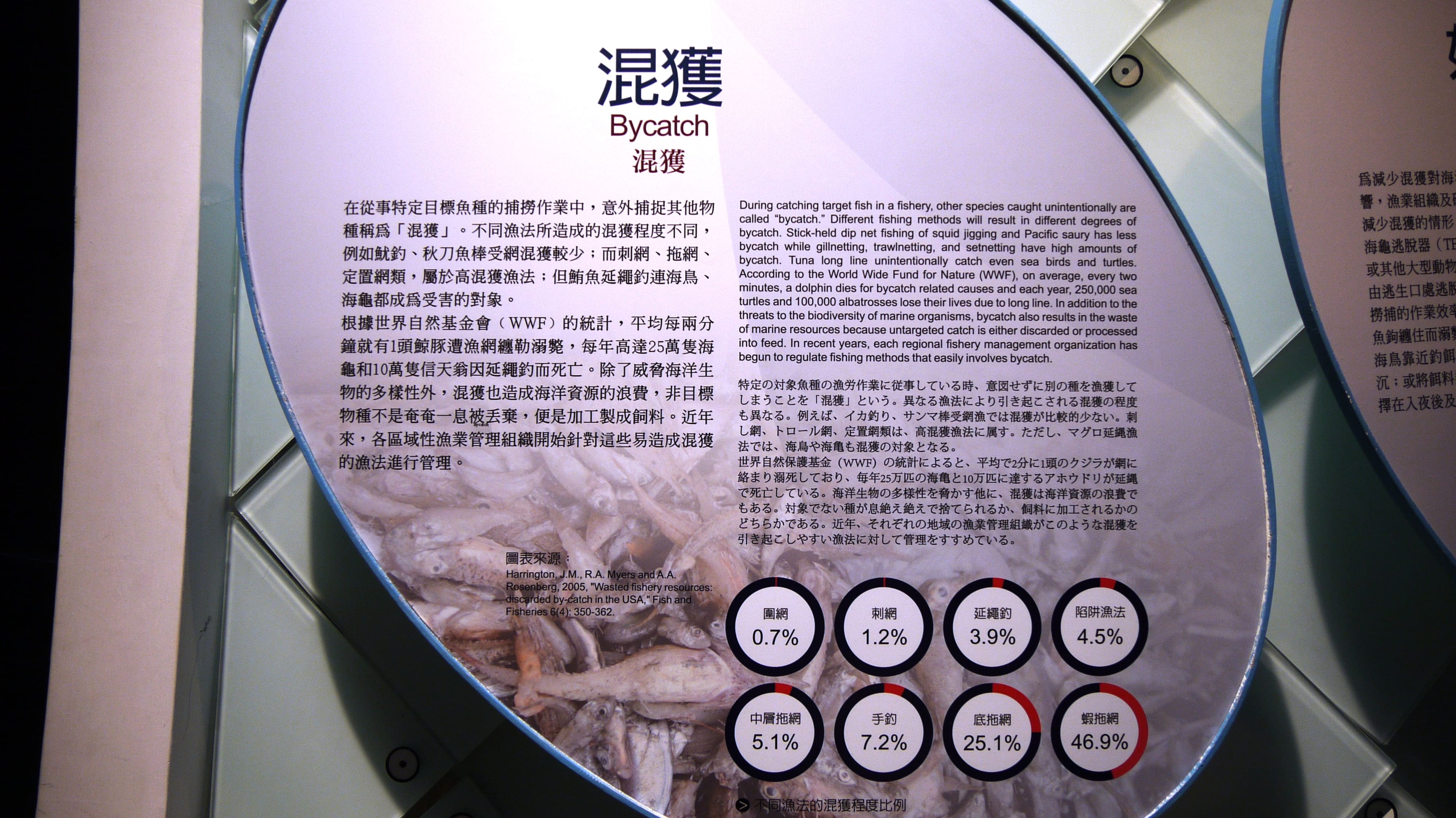 混獲