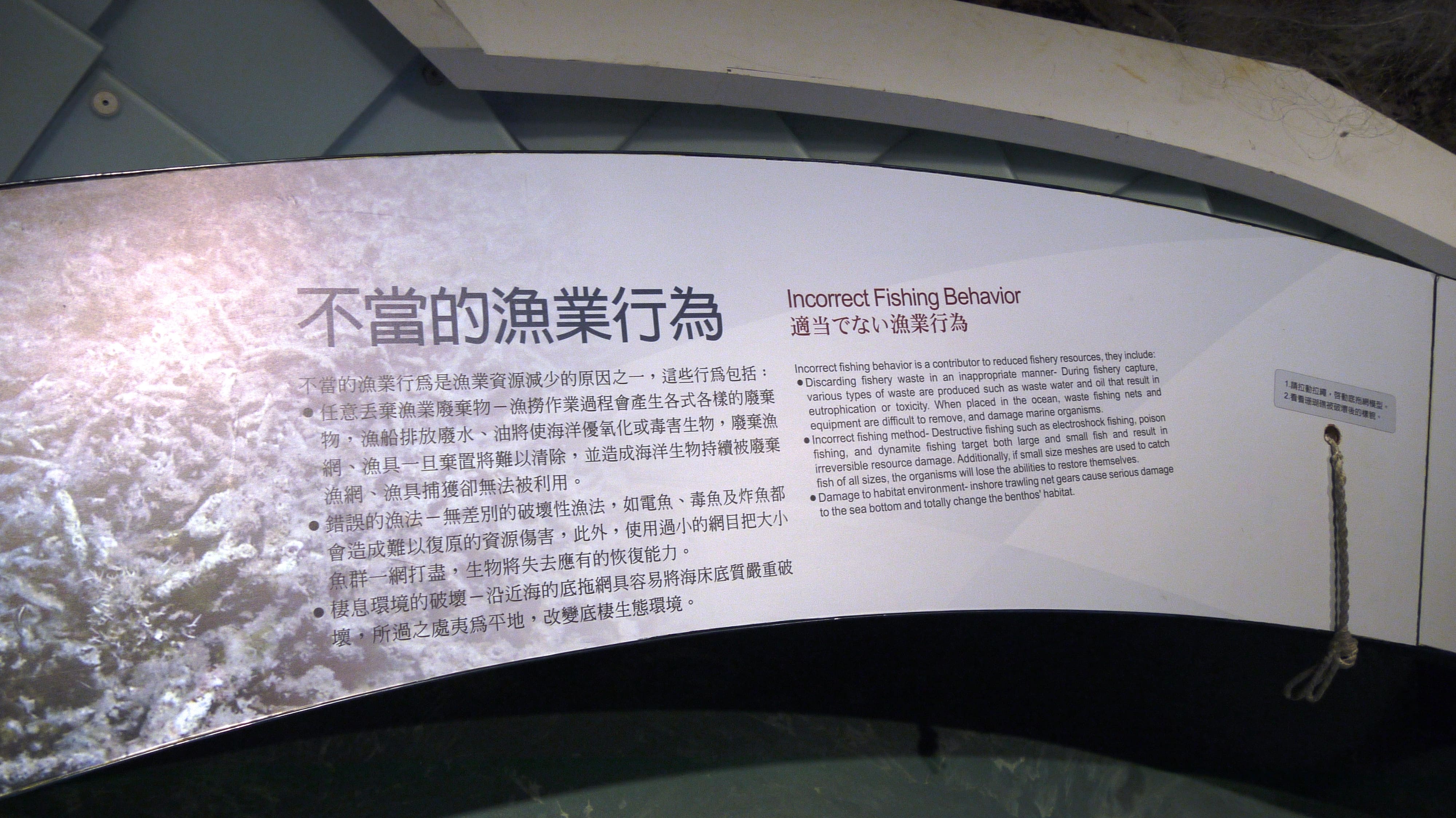 不當的漁業行為