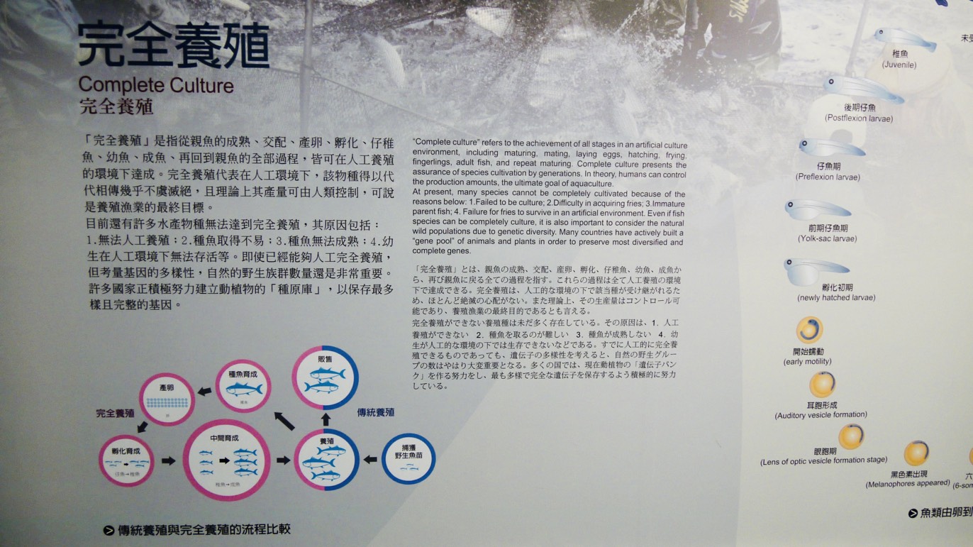 完全養殖