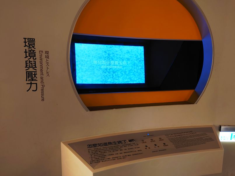 環境與壓力